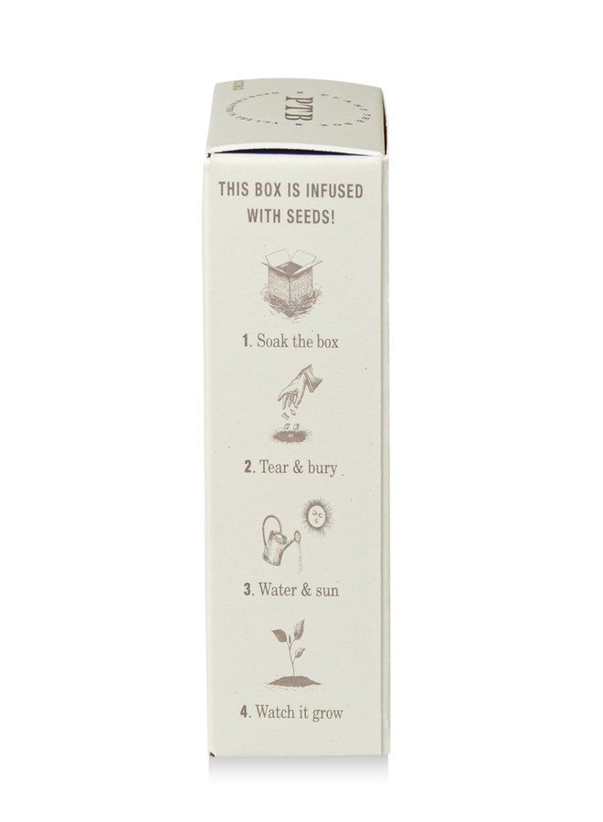 KOBO Plant the Box Heath Lavender Bar Soap (7 oz) - Image 3